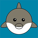  Dolphin 