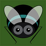  Fly 