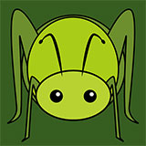  Grasshopper 