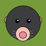  Mole 