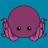  Octopus 