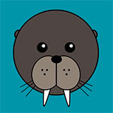  Walrus 