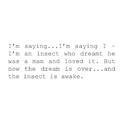 The Fly