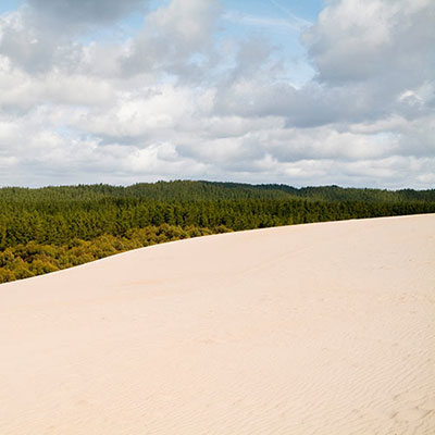 Dune