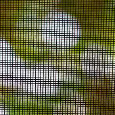 Mosquito Net