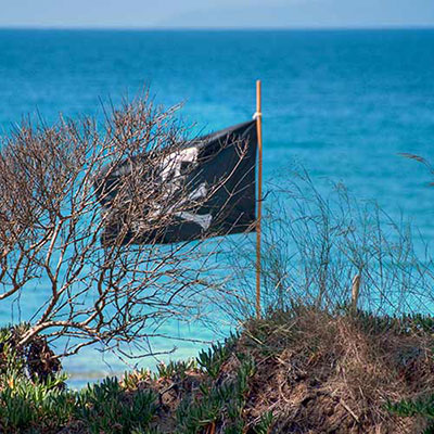  Pirates 