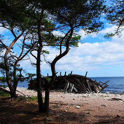 Shipwreck 