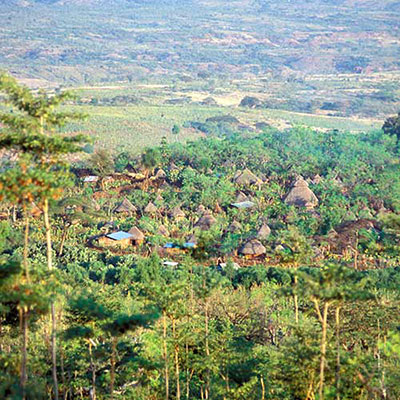 Village