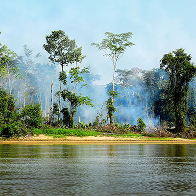  Wildfire 