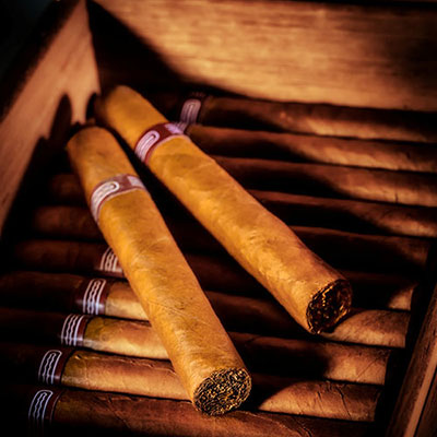  Humidor 