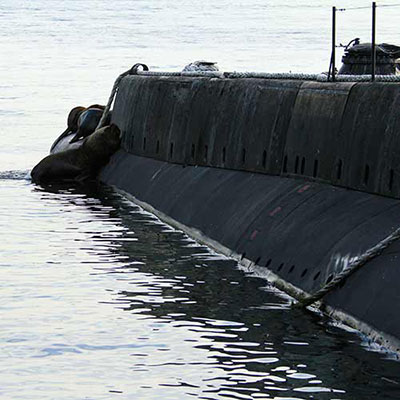 Submarine