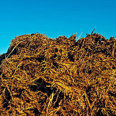  Manure 