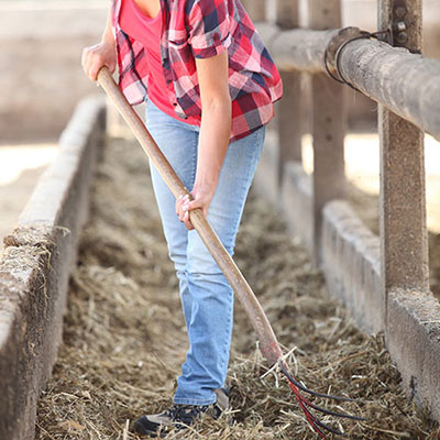 Mucking Out