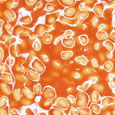  Baked Beans 