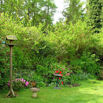  Garden 