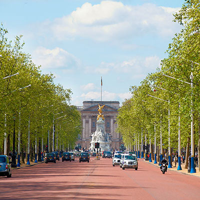  The Mall 