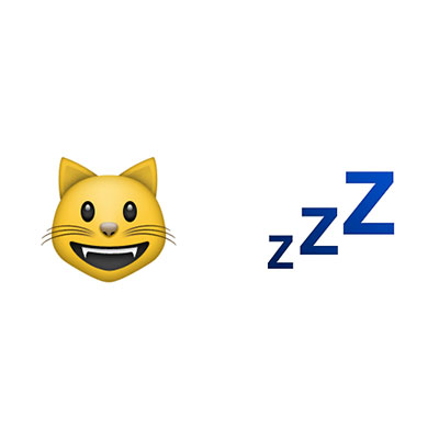 Cat Nap