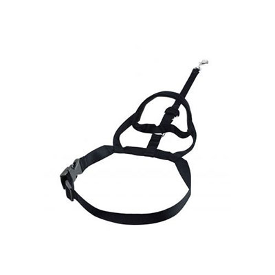 Harness