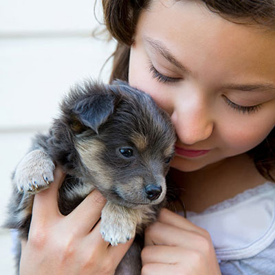 Puppy