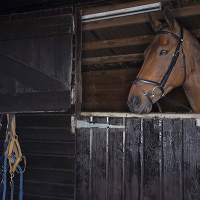 Stable