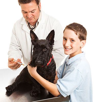 Vaccination