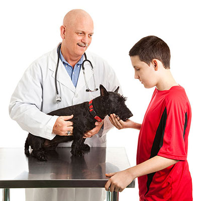Vet
