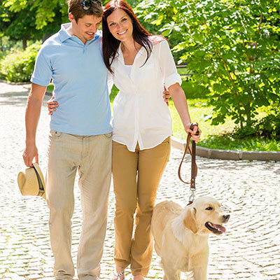 Walk The Dog
