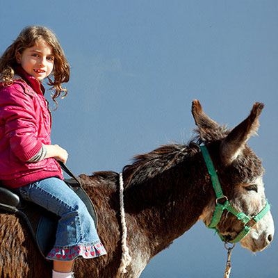 Donkey Ride