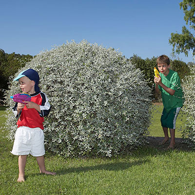Water Fight