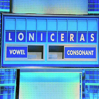 Countdown