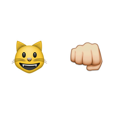 Catfight
