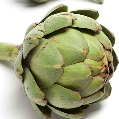  Artichoke 