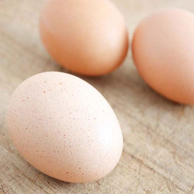  Eggs 