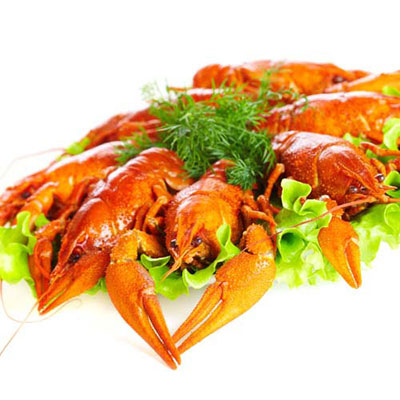  Lobster 