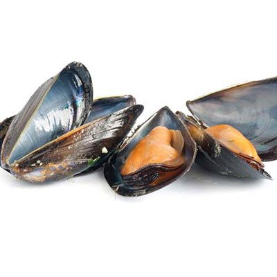  Mussels 