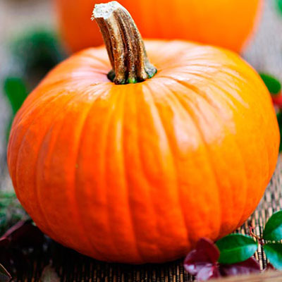 Pumpkin