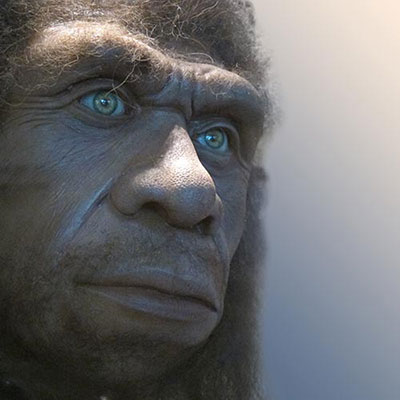 Neanderthal