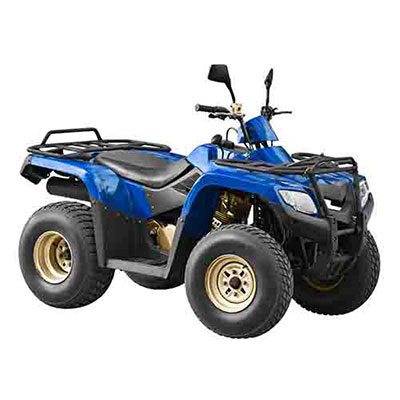 Quad Bike