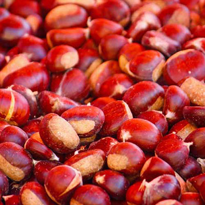  Chestnuts 