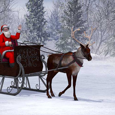 Reindeer