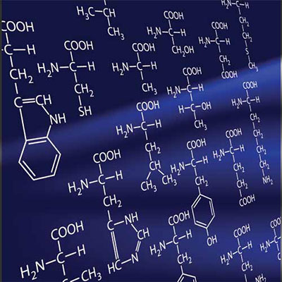  Amino Acids 