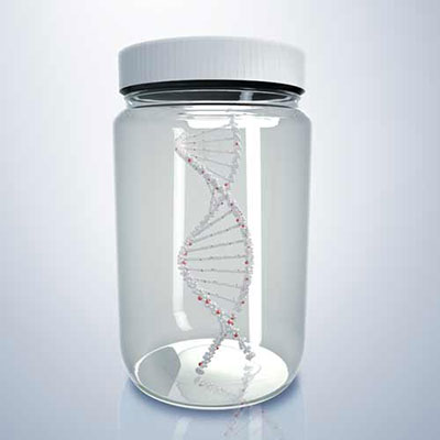 Dna
