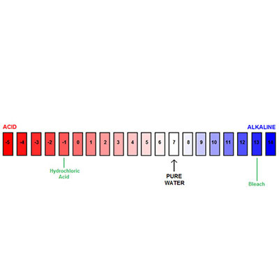 Ph Scale