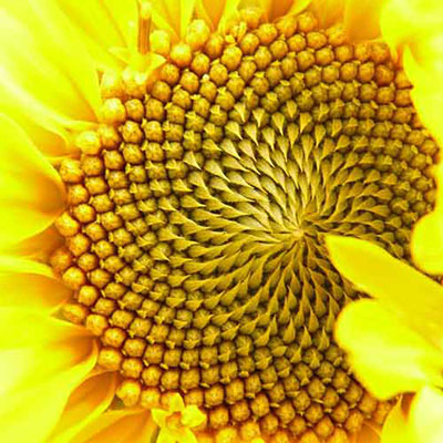 Symmetry