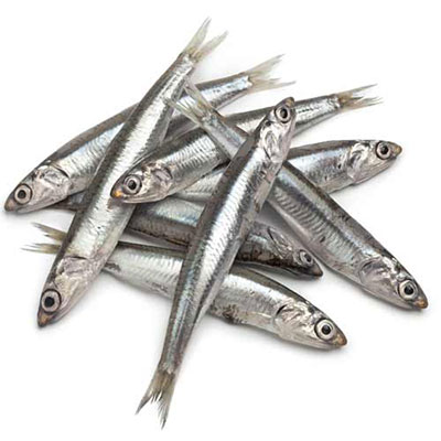 Anchovies