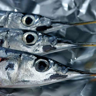 Needlefish