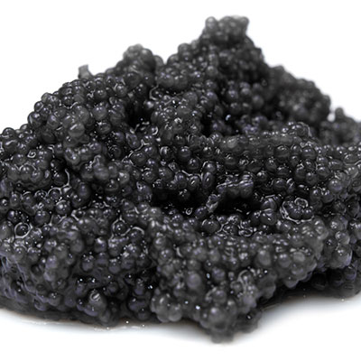  Sturgeon Roe 