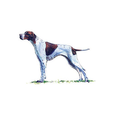 Pointer