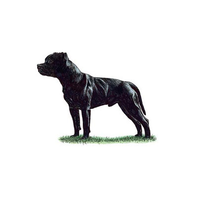 Staffordshire