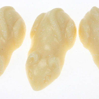 White Mice